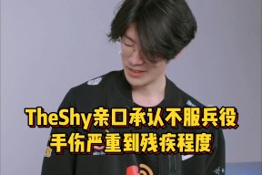 AYX-TheShy赛事官方发布出色防守新规，DWG争议不断！的简单介绍